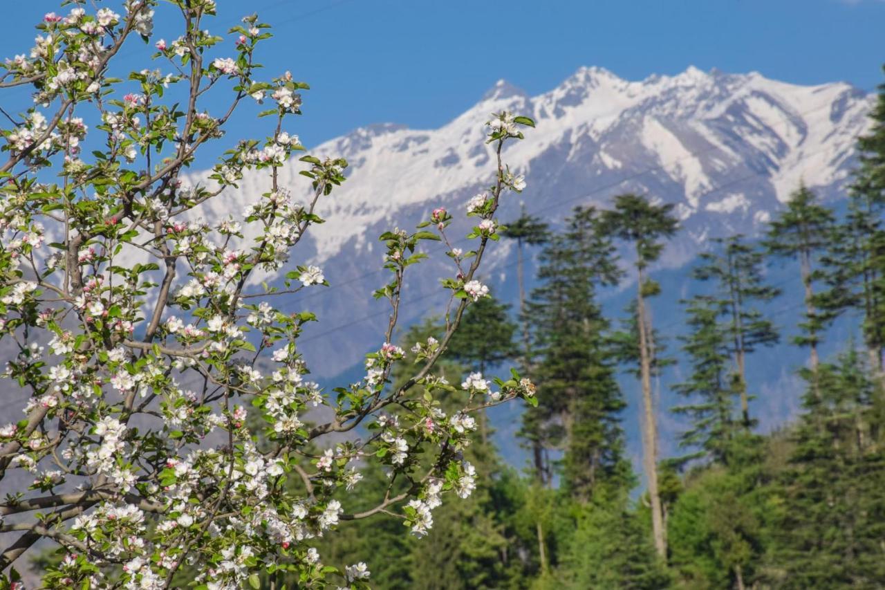 The Tirthan Eagle Nest, Tirthan Valley Jibhi Exterior photo