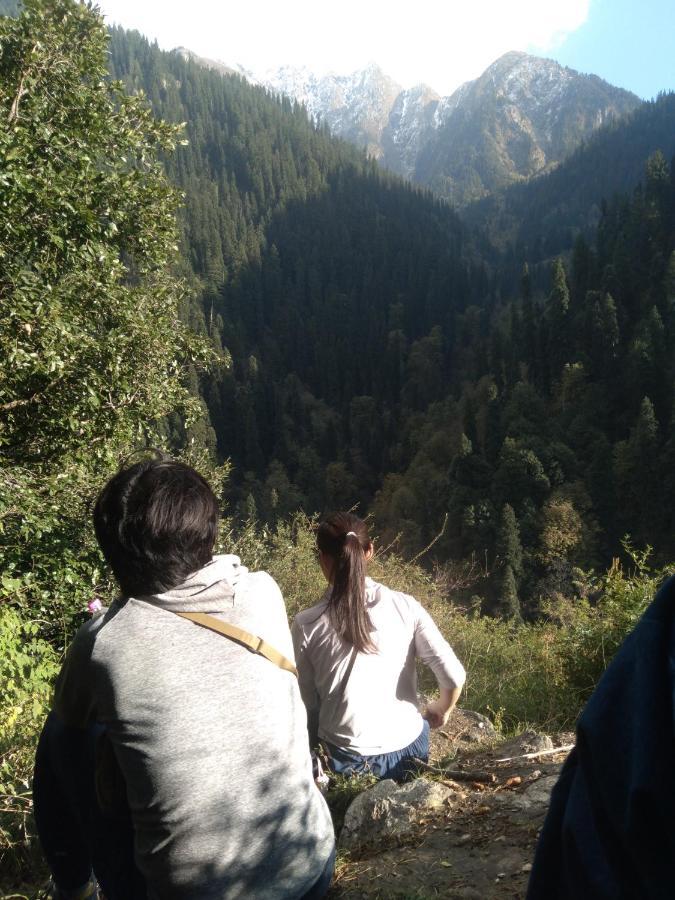The Tirthan Eagle Nest, Tirthan Valley Jibhi Exterior photo
