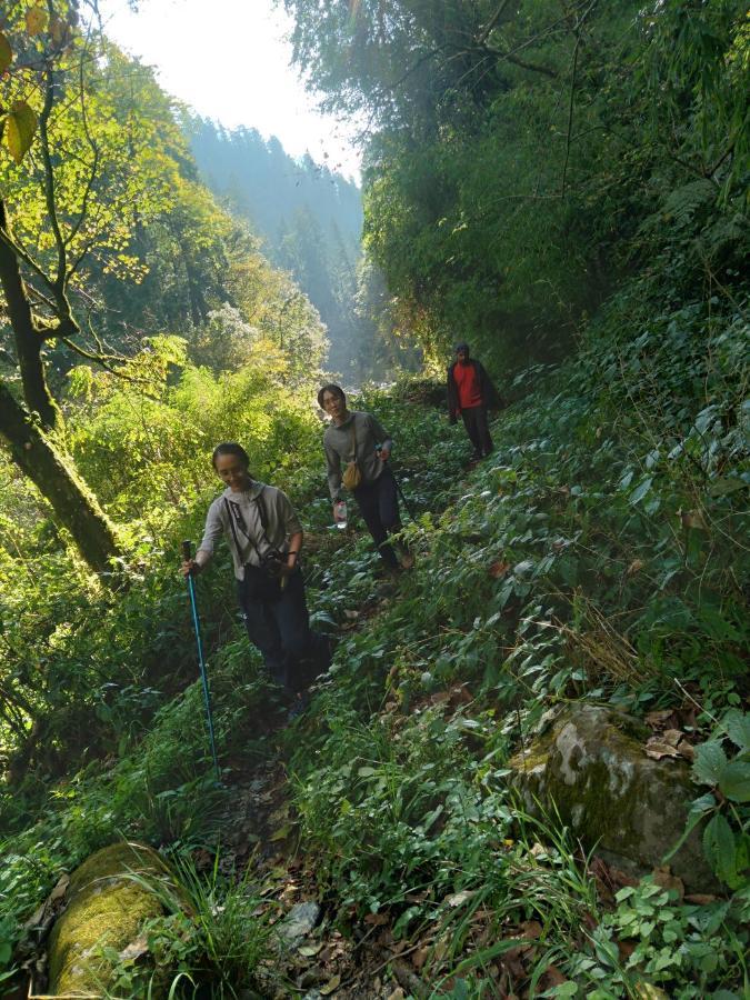 The Tirthan Eagle Nest, Tirthan Valley Jibhi Exterior photo